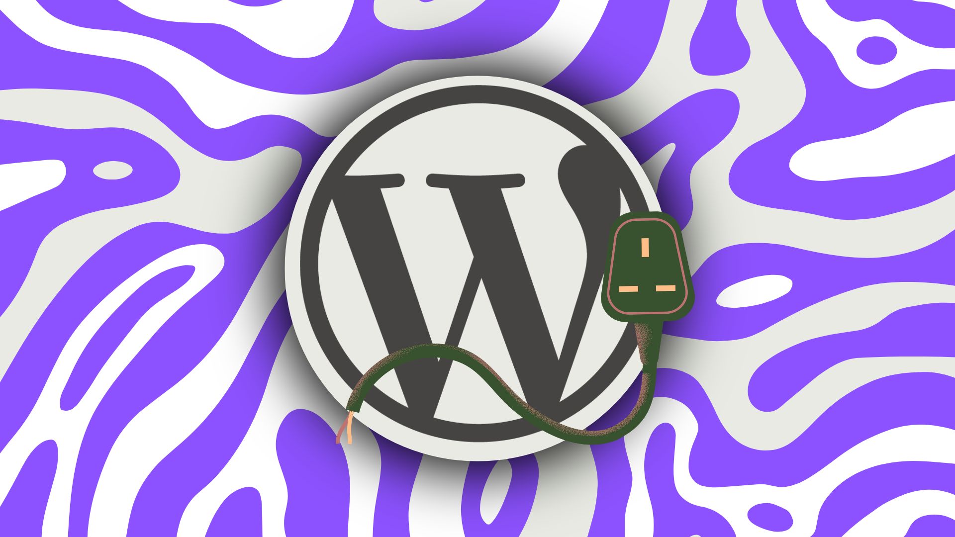 Wordpress plugin issue (1)